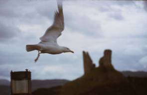 Le chateau de Kyleakin. Ile de Skye.